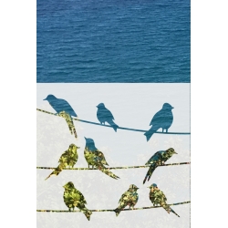 ROZ26 50x47 naklejka na okno wzory zwierzęce - ptaki